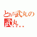 とある武丸の武丸（会話器機）