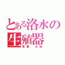 とある洛水の生殖器（草葉　大地）