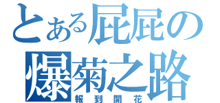 とある屁屁の爆菊之路（報到開花）