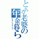 とある老婆の年金暮らし（セカンドライフ）