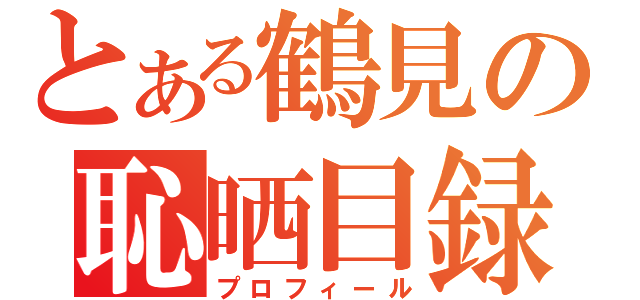 とある鶴見の恥晒目録（プロフィール）