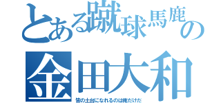 とある蹴球馬鹿の金田大和（皆の土台になれるのは俺だけだ）