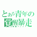 とある青年の覚醒暴走（修羅パンツ）