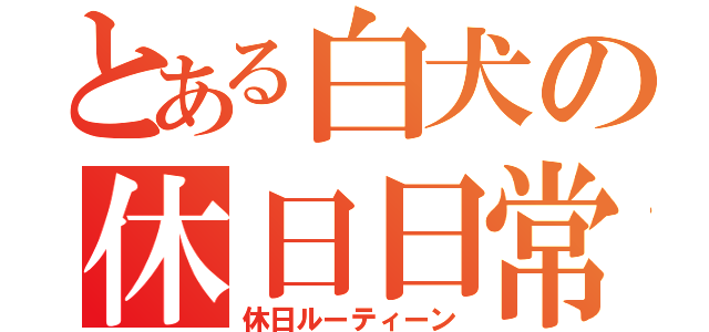 とある白犬の休日日常（休日ルーティーン）