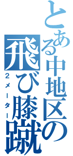 とある中地区の飛び膝蹴り（２メーター）