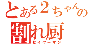 とある２ちゃんの割れ厨（セイヤーマン）