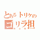 とあるトリケのゴリラ担（桐山担）