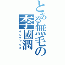 とある無毛の李國潤（インデックス）