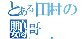 とある田村の鸚哥（ポム）