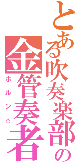 とある吹奏楽部の金管奏者（ホルン☆）