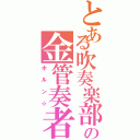 とある吹奏楽部の金管奏者（ホルン☆）