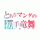 とあるマンダの初手竜舞（は強い）