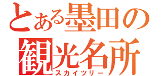 とある墨田の観光名所（スカイツリー）