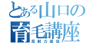 とある山口の育毛講座（反射力最強）