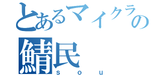 とあるマイクラの鯖民（ｓｏｕ）