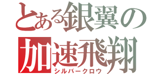 とある銀翼の加速飛翔（シルバークロウ）