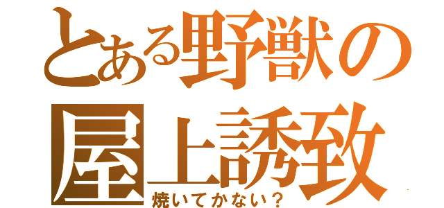 とある野獣の屋上誘致（焼いてかない？）