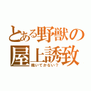 とある野獣の屋上誘致（焼いてかない？）