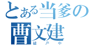 とある当爹の曹文建（破产中）