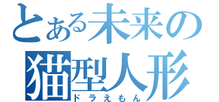 とある未来の猫型人形（ドラえもん）