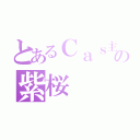 とあるＣａｓ主の紫桜（）