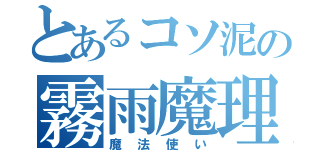 とあるコソ泥の霧雨魔理沙（魔法使い）