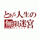 とある人生の無限迷宮（エンドレス）