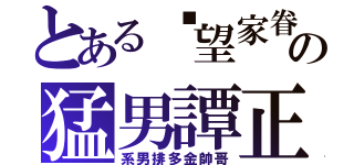 とある渴望家眷の猛男譚正（系男排多金帥哥）