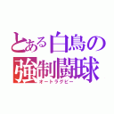 とある白鳥の強制闘球（オートラグビー）