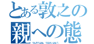 とある敦之の親への態度（うんそうよね。うるさいよね？。）