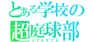 とある学校の超庭球部（ソフトテニス）