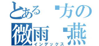 とある远方の微雨飞燕（インデックス）