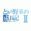 とある野菜の成長記Ⅱ（勝たんしかせろり〜♪）