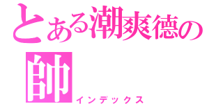 とある潮爽德の帥（インデックス）