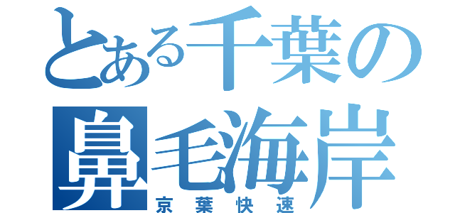 とある千葉の鼻毛海岸（京葉快速）