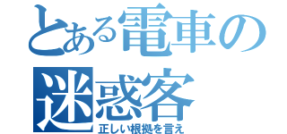 とある電車の迷惑客（正しい根拠を言え）