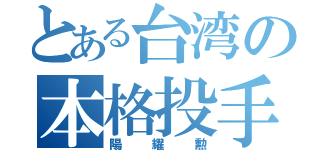 とある台湾の本格投手（陽耀勲）