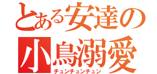 とある安達の小鳥溺愛（チュンチュンチュン）