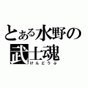 とある水野の武士魂（けんどうぶ）