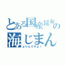 とある国産昆布１００％使用の海じまん（ぷりんですよ！）