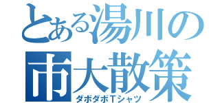 とある湯川の市大散策（ダボダボＴシャツ）