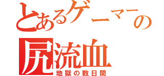 とあるゲーマーのの尻流血（地獄の数日間）