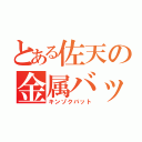 とある佐天の金属バット（キンゾクバット）