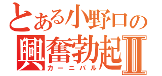 とある小野口の興奮勃起Ⅱ（カーニバル）