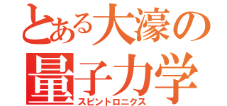 とある大濠の量子力学（スピントロニクス）