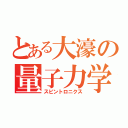 とある大濠の量子力学（スピントロニクス）