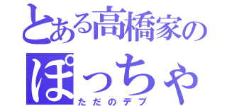 とある高橋家のぽっちゃり男（ただのデブ）