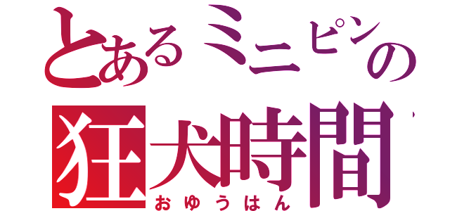 とあるミニピンの狂犬時間（おゆうはん）