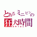 とあるミニピンの狂犬時間（おゆうはん）