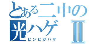 とある二中の光ハゲⅡ（ピンピかハゲ）